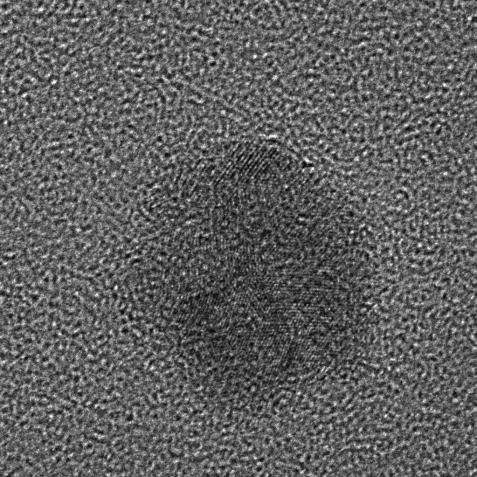 nanoparticles deposited onto the carbon.