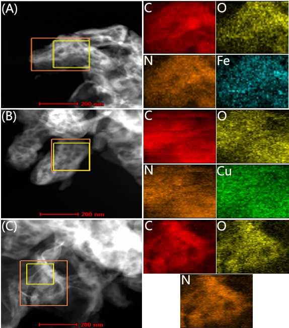 Fig. S9 The elemental mapping images of Fe/C 3 N 4