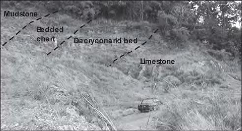 ONG SWANG THENG & BASIR JASIN sandstone (youngest). A limestone bed was also observed at the eastern flank of the hill (Figure 3).