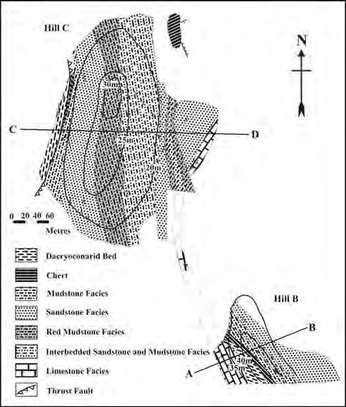DISCOVERY OF A LOWER DEVONIAN DACRYOCONARID BED FROM HILL B GUAR JENTIK, PERLIS Figure 3: Geological lithofacies map of Hill C and the northern part of Hill B, exposed at Kampung Guar Jentik, Perlis.