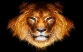 Featured Sign-Leo From the 22nd July to the 23rd August, the Sun travels through fire sign Leo. Leo is the fifth sign of the zodiac with keywords I express and I stand out.