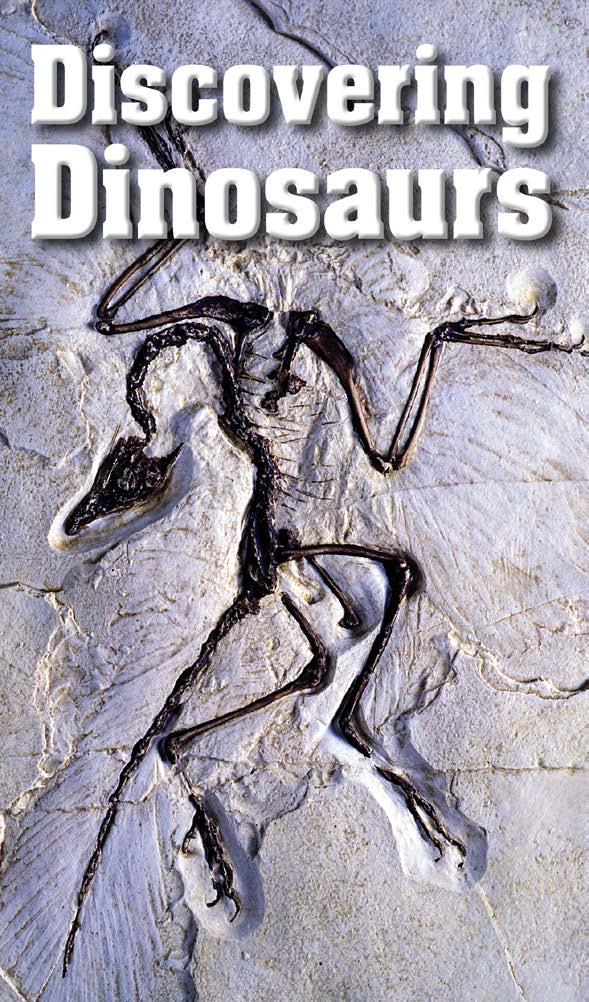 Discovering Dinosaurs A Reading A Z Level O Leveled Book Word Count: 750 LEVELED BOOK O Connections Writing and Art Imagine you are a scientist studying dinosaurs and have discovered new fossils.