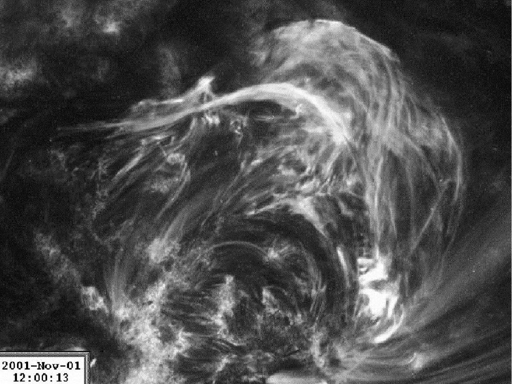 Fig. 5. Fe IX image of a filament undergoing a frustrated eruption on November 1, 2001 (TRACE image).