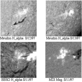 Fig. 8. Ha images on August 13, 1997 showing the filament that erupted to produce the magnetic cloud detected by the NEAR magnetometer on August 20.
