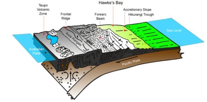 4 Hawke s Bay Seismic Hazard 4.1 Seismicity and Geology New Zealand lies along the boundary between the Australian and Pacific tectonic plates.