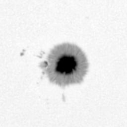 Sunspot k ω Diagram Figure 1. Continuum intensity image (a) and line-of-sight component of the magnetic field (b) for AR 11092.