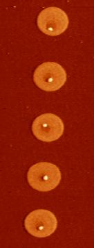 nm 1,2 µm 1.