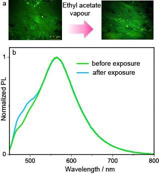 Figure S18. Luminescence shift of 1O-grinded film upon exposure to ethyl acetate vapour.
