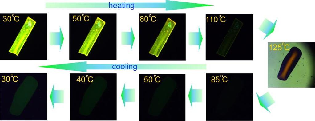 Fluorescence microscopic snapshots of PL change of 1Y-crystal upon thermal heating and