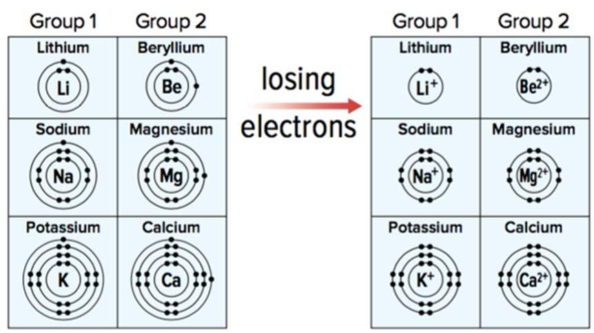 Metal atoms lose electrons Metals can to achieve a full valence shell Form positive ions because they lose electrons