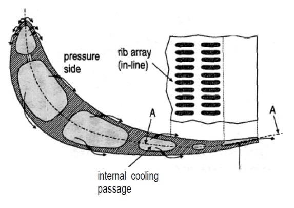 Introduction to Film Cooling in Gas Turbines equal to the half part of the hole height, the coolant jets have circular section and are tangent to the cutback plane. Figure 1.