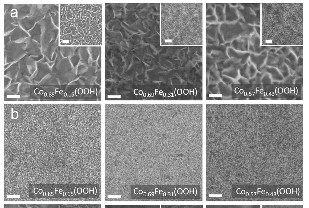 Figure S8. SEM images of Co-Fe (oxyhydroxide thin films post- 2 h polarization at η = 350 mv in 1 M KOH.