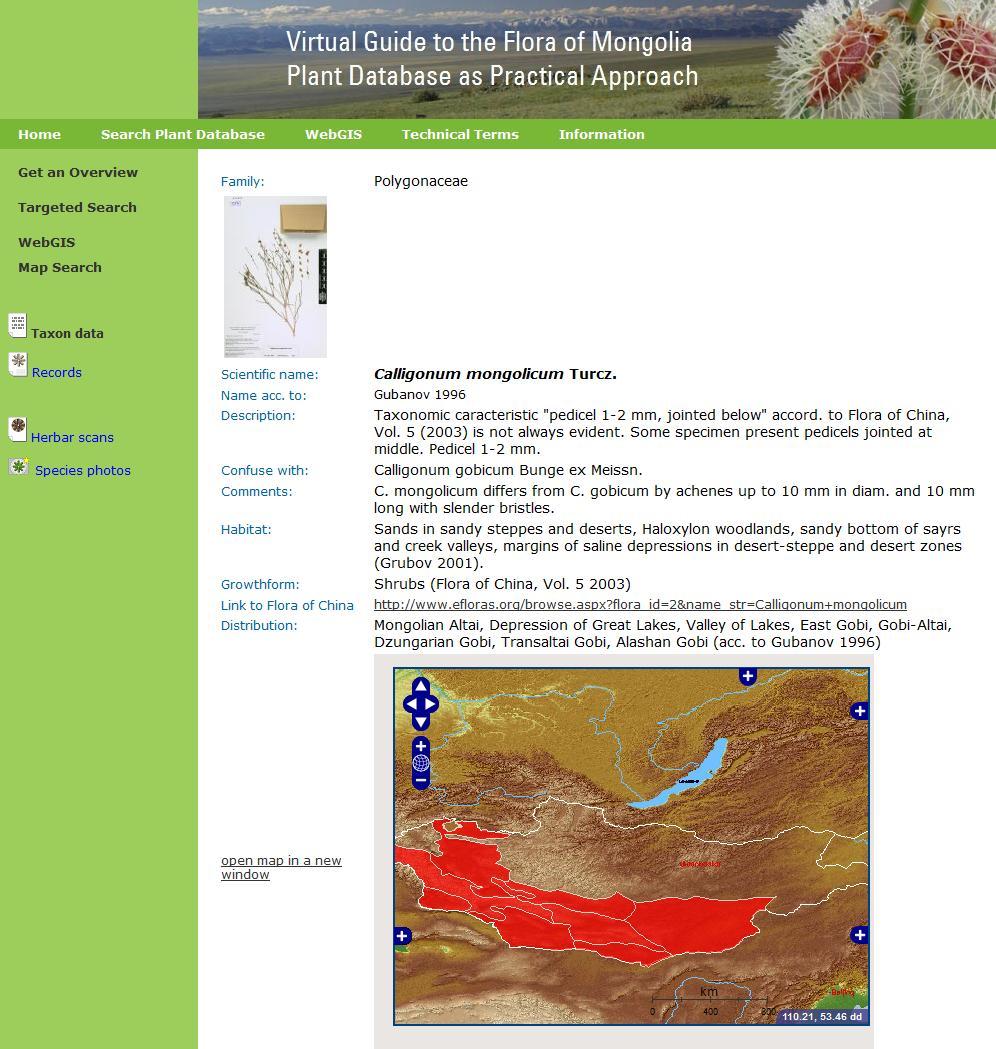 Search by: FloraGREIF project: presents the flora of Mongolia, combining: taxa (species descriptions,