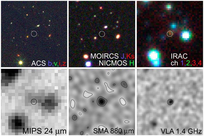 Submillimeter galaxies Optically obscured galaxies in the early universe HST HST