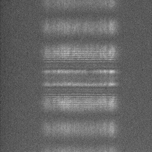 123 mw in each arm. We then attenuated the source beam by 4 orders of magnitude and took sample images in the CCD camera for several analyzer polarization angles, as shown in Fig.
