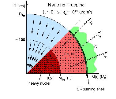 Neutrino trapping ν + A ν + A (trapping) elastic process, no energy, but momentum transfer ν + e ν + e (thermalization) inelastic scattering, energy transfer ν + (Z, A) ν + (Z, A) (thermalization)