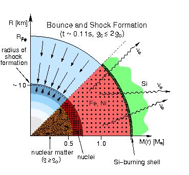 Core bounce The collapse continues until the central density becomes substantially (by about a factor 2-4) larger than nuclear density (ρ nm 2 10 14 g/cm 3 ).