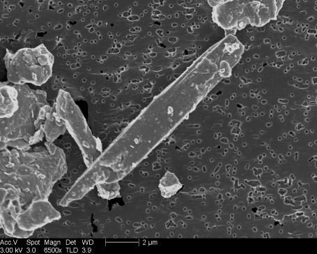Dimensions and Morphology of Rock Fragments vs. Asbestos Fibers FESEM Image Rock Fragment FESEM Image Chrysotile Bundle 2.2 µm 2.