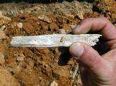 Chrysotile Eden Mills, VT Tremolite-Actinolite rock Libby, MT California serpentine