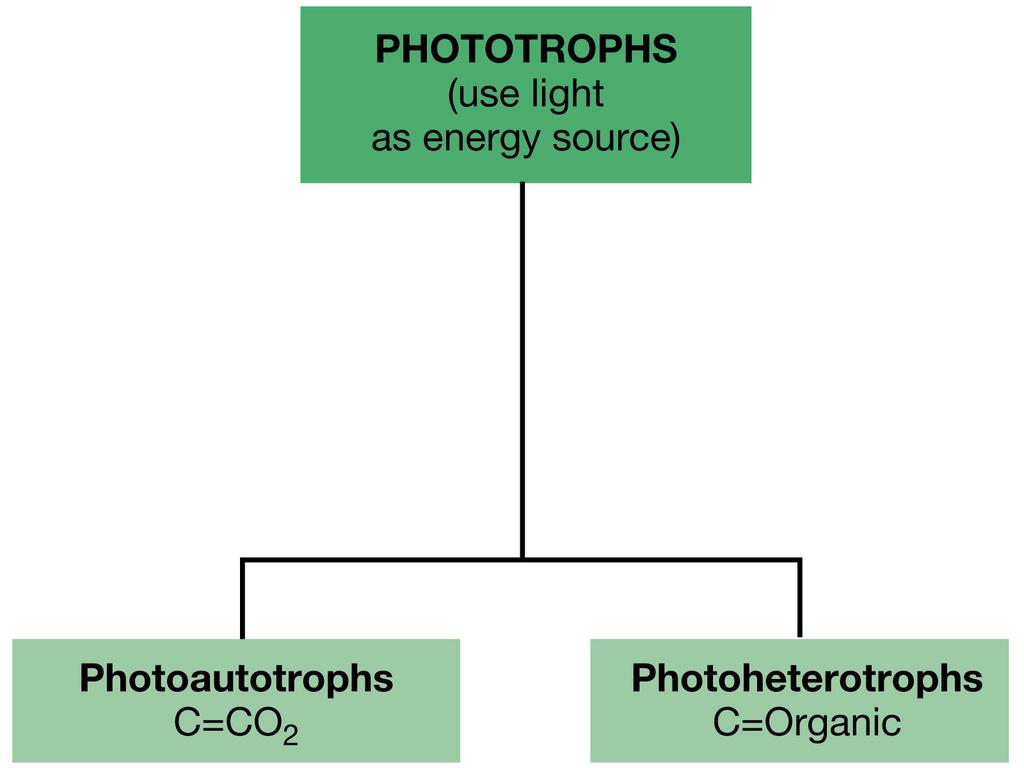 Figure: 17-01 Carbon source- photoautotroph