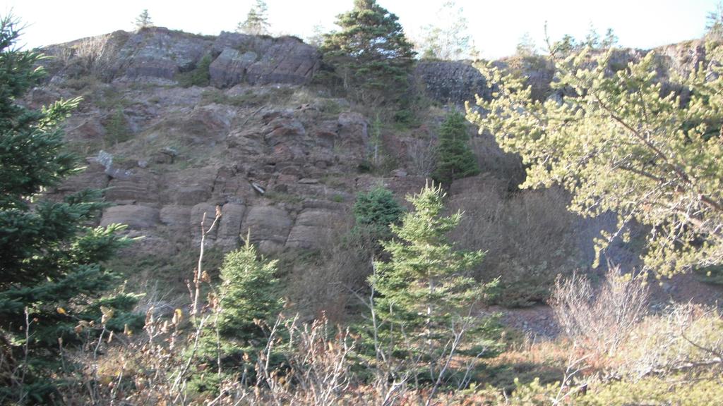 In the photo below you can see the normal bedding having a deep red colour at the far right outcrop, this is followed by the alteration to gray and black to the left.