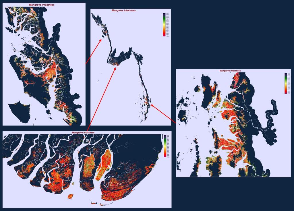 Figure 2 A map of mangrove intactness