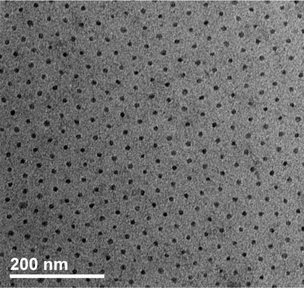 Figure S4. TEM image of the naked PEO-hv-PMA(Chal) film. The sample displays hexagonally packed pores oriented perpendicularly to the membrane surface.