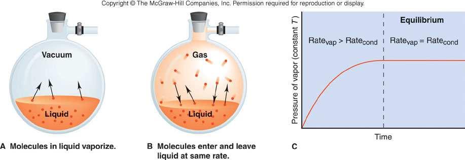 Liquid-gas
