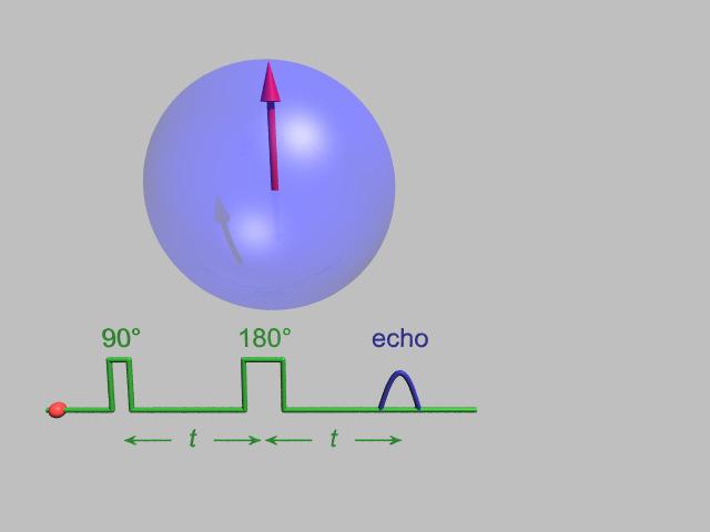 Spin echo decay Pulsed EPR Double electron-electron resonance (DEER) allows distances between two electron s in the range 2 to 6 nm to be measured (cf < 1 nm by NMR
