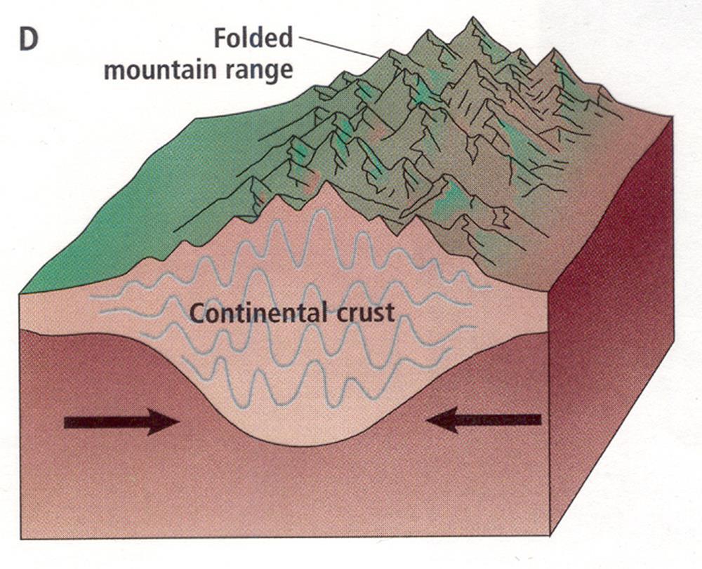 2. When continental plates converge, folded