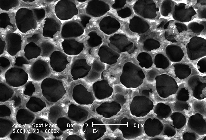 Section Micro and Nano Technologies RESULTS and DISCUSSION Surface morphology of the porous silicon was studied by scanning electron microscope as shown in Fig. 2.