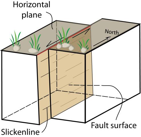 Figure 4. Strike slip fault. A row of stones and grass are displaced by a fault with a north strike (red line lying in horizontal plane) and a vertical dip.