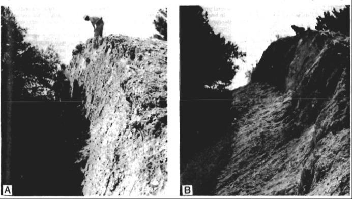 Fallon-Stillwater earthquake, July 6 th, 1954 M 6.