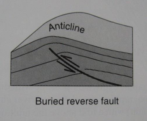 Thrust faults associated with subduction produce a variety of landforms - uplifted coastal terraces, anticlinal hills (upwarped) and synclinal