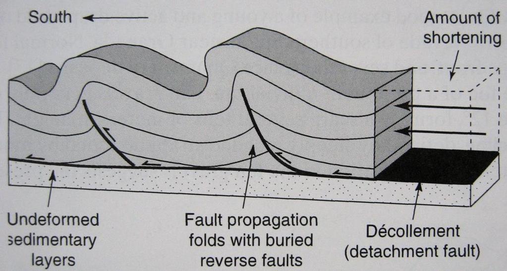 surface or they remain hidden in the core of anticline blind reverse fault Asymmetric fault-propagation fold developed over a décollement