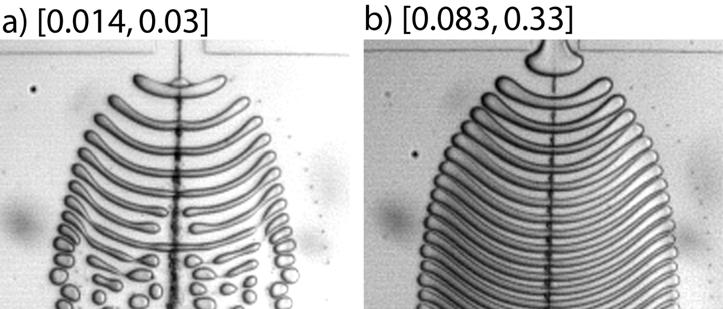 Figure S1. Optical micrographs (top view) of the outlet channels (w out = 2mm).