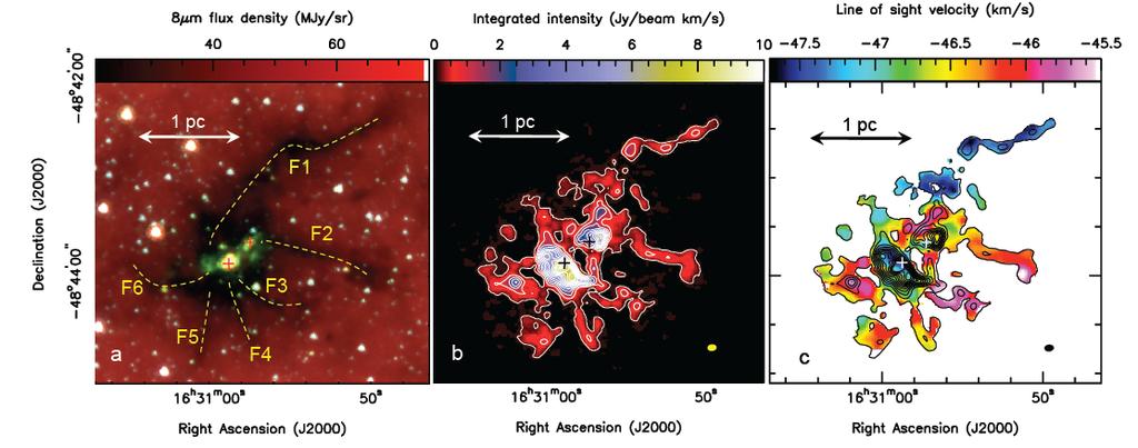 Formation of supermassive stars Infrared Dark Cloud SDC335.579-0.