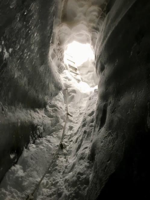 SVALBARD 2018 Microbial communities in glacier ice caves of Svalbard Marie Šabacká 1, Julia Endresen Storesund 2, Lise Øvreås 2, Magdalena Witkowska 3 (UNIS), Eva Hejduková 4 1