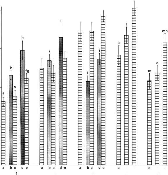 Production and growth dynamics of vascular bog plants 59 Fig. 40. Scheuchzeria palustris. Leaf weight in mg (± 1 S.E.) per unit length in 5-leaved individuals. From the material of the main samplings.