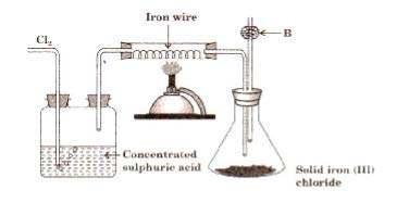 QuestionS [10) (a) The diagram given below is to prepare iron(iii) chloride in the laboratory: 8...,... Sulitl inua tlllt C'IUorldP i. What is substance 87 ii. What is dte purpose of B? iii.