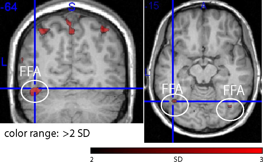 Example: Canonical Correlation Analysis for fmri Data data