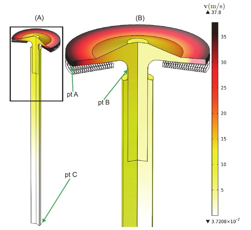 the mushroom armature to bend prior any movement. Although these domains attain speeds up to 38 m/s, the bottom of the armature is almost stationary having a velocity of 0 m/s.