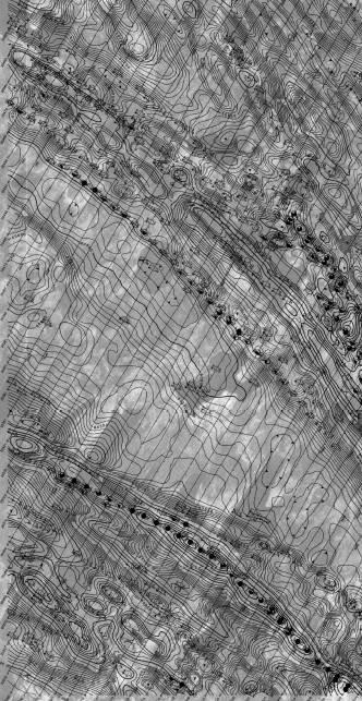 GRASS-ROOTS GOLD TARGET AREA EYAPAMIKAMA LAKE Main Gold Target Area Shearing North Rim Volcanics Suspected S-type Granitic Pluton
