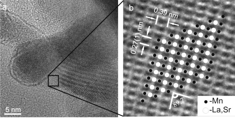 The magnetic anisotropy of the La 0.7 Sr 0.3 MnO 3 nanopowders was investigated by the use of the singular point detection technique developed by Asti and Rinaldi [6].