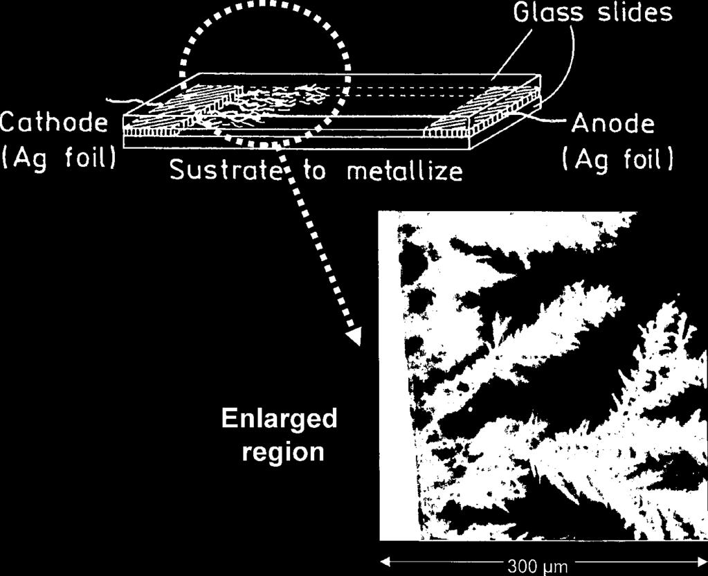 9990 J. Phys. Chem. B, Vol. 107, No. 37, 2003 Geddes et al. Figure 1. Apparatus for silver fractal growth and the bright field image of the silver fractal-like structures grown on glass. Figure 3.