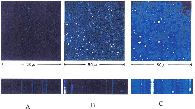 Luminescent Blinking from Ag Nanostructure J. Phys. Chem. B, Vol. 107, No. 37, 2003 9991 Figure 4.