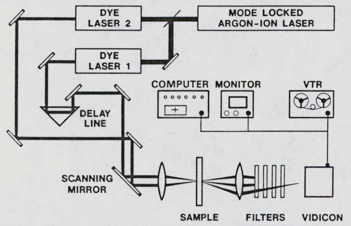 Development of CARS Microscopy 1982 - Duncan,