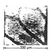 7, 350 Picosecond visible laser, Noncollinear