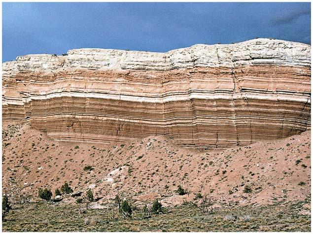 Lithification Sedimentary Rocks Sediments