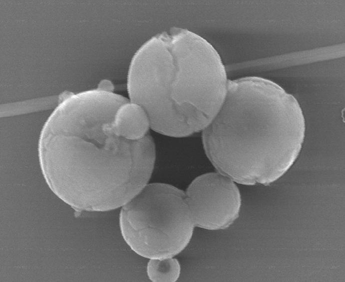 a 1 µm b Supplementary Figure 9 (a) SEM image of spherical particles Ni-BMSB-Ni 3c, which are prepared from the fast addition of pentane into
